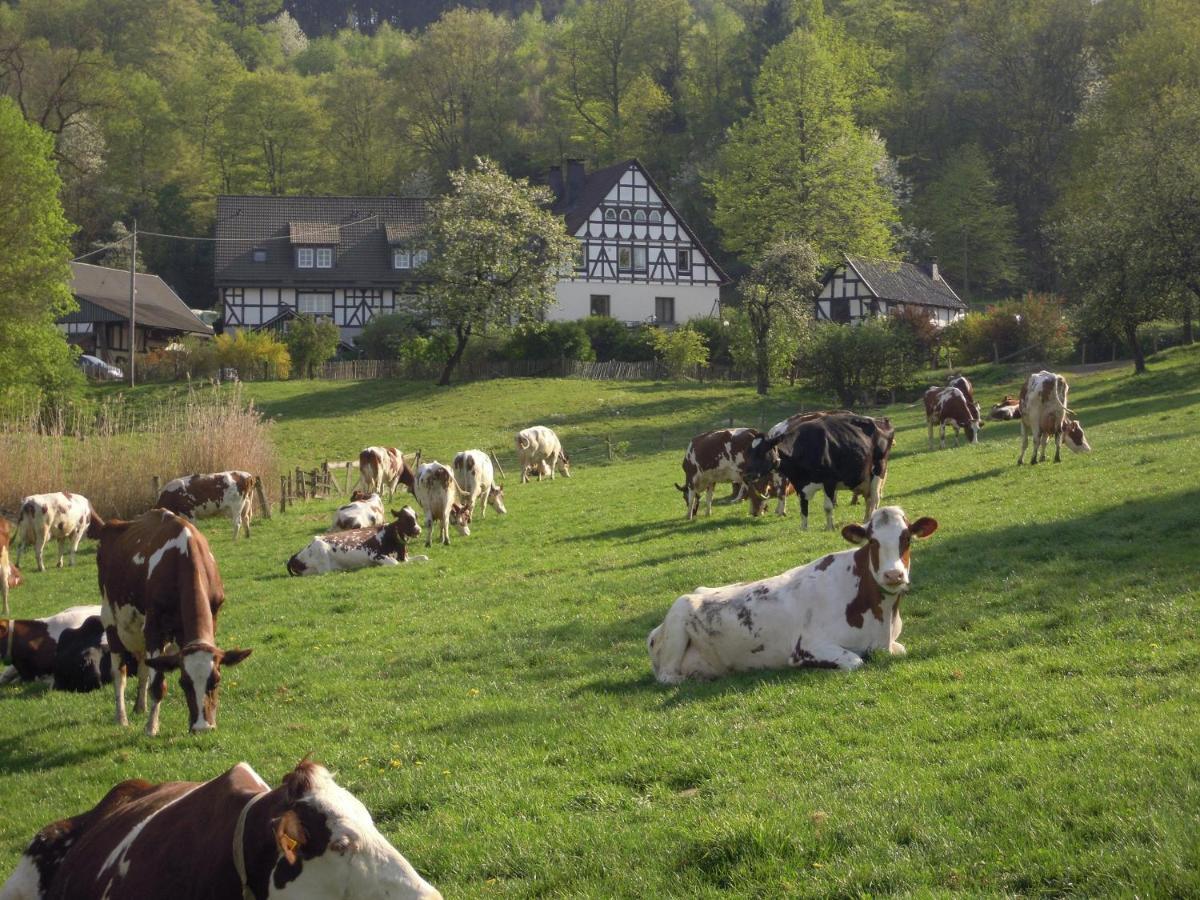 Ferienhof Richard เลนเนชตัดท์ ภายนอก รูปภาพ